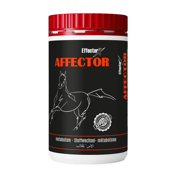 EffectorX AFFECTOR – výkon a energie
