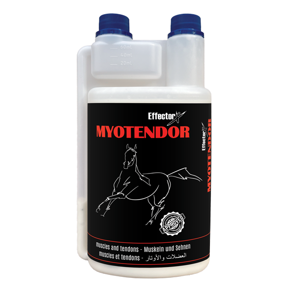 EffectorX MYOTENDOR – svaly a regenerace